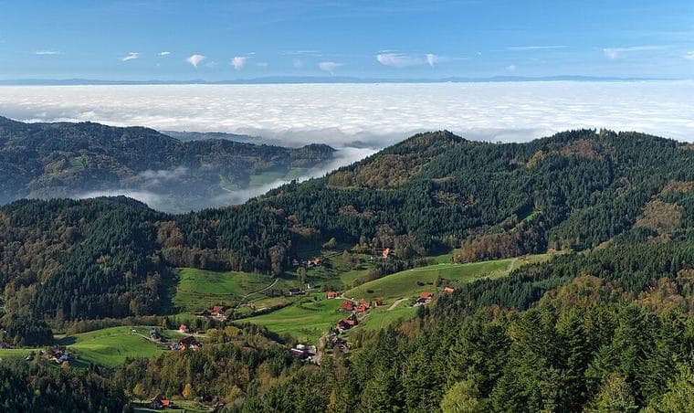 Black Forest