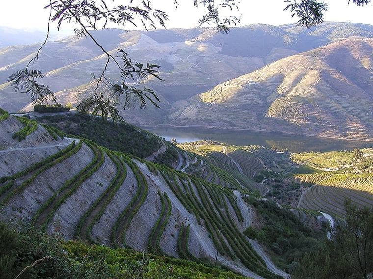 Douro (intermunicipal community)