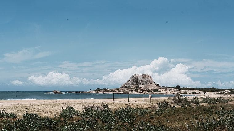 Yala National Park